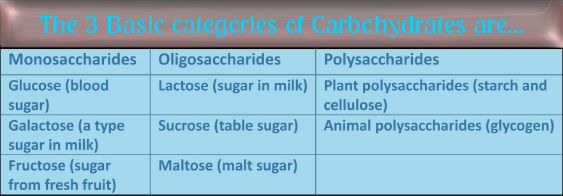 Carbohydrate categories