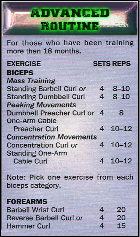 Advanced biceps routine