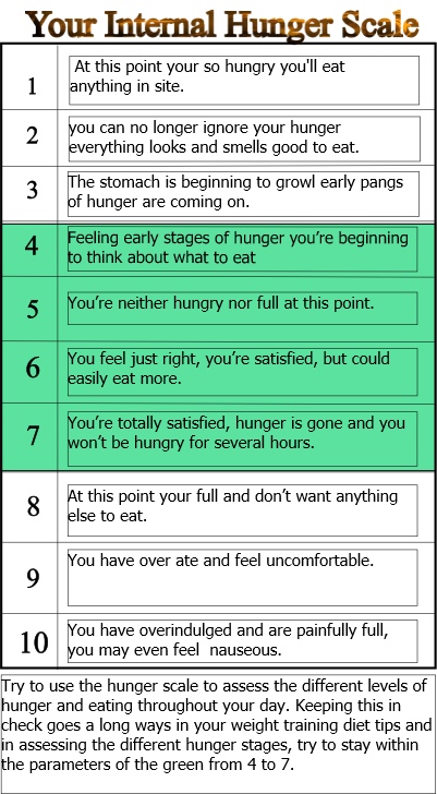 Internal hunger scale