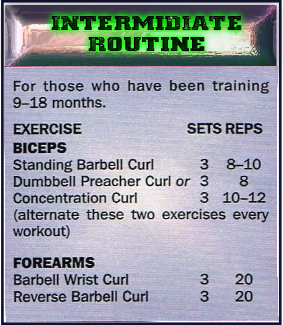 Intermediate biceps routine