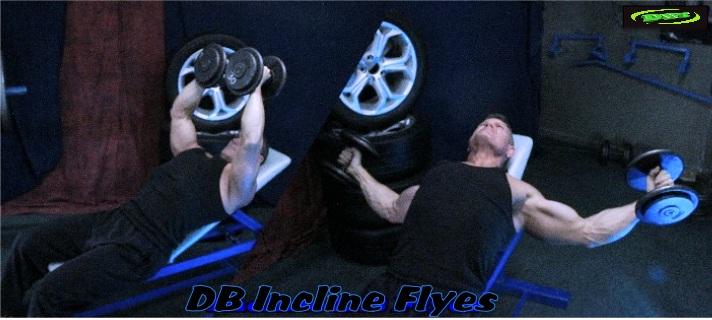Dumbbell incline Flyes