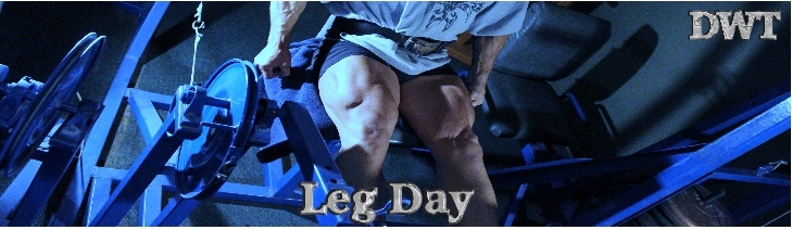 Intermediate leg day