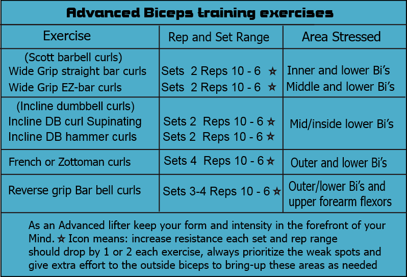 Full Biceps Workout Chart