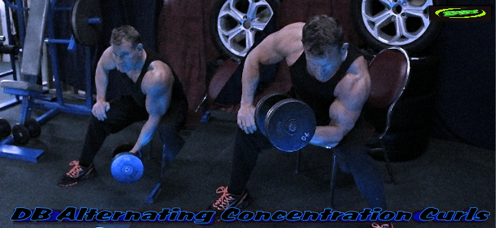 Dumbbell Concentration Curl