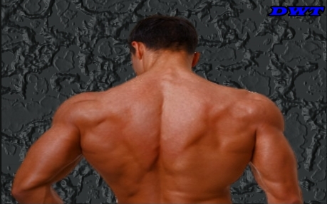 Upper back development