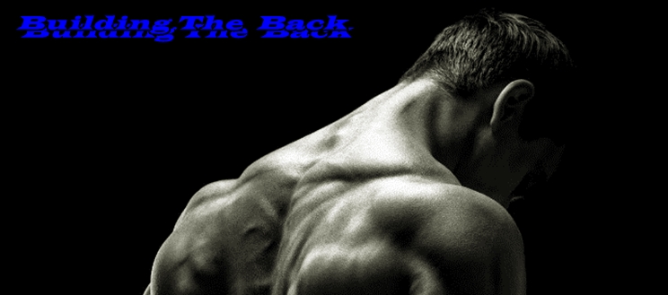 Training upper back