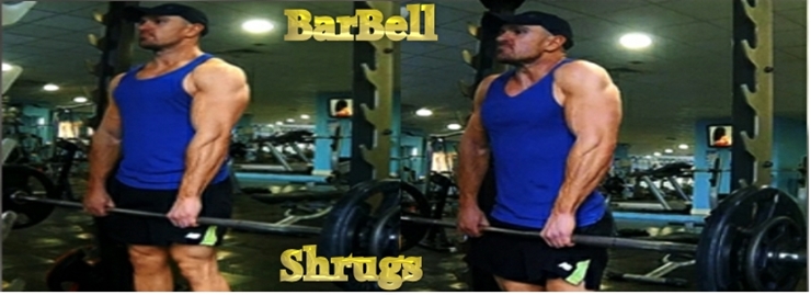 Intermediate barbell shrugs