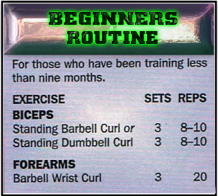 Beginners biceps routine