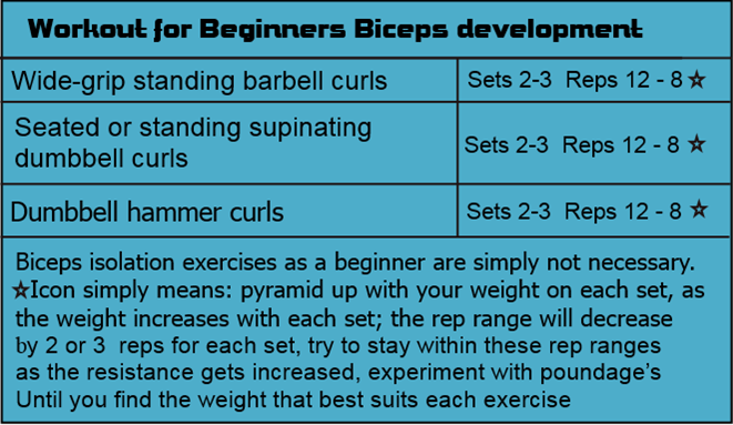 Beginners biceps workout chart