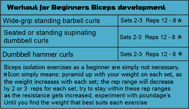 Biceps Workout Routine