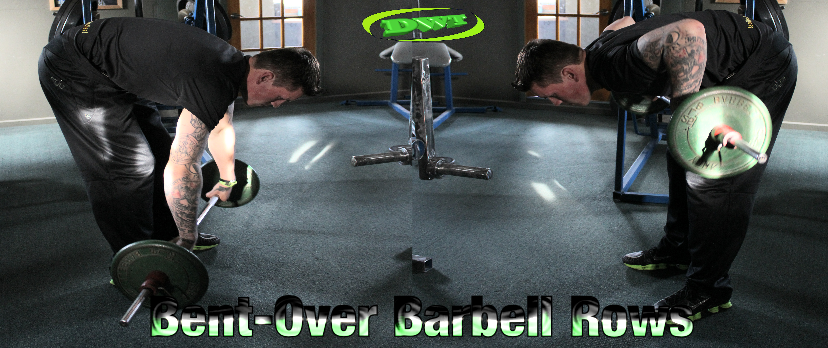 Beginners  bent over barbell rows