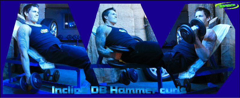 Incline DB hammer curls