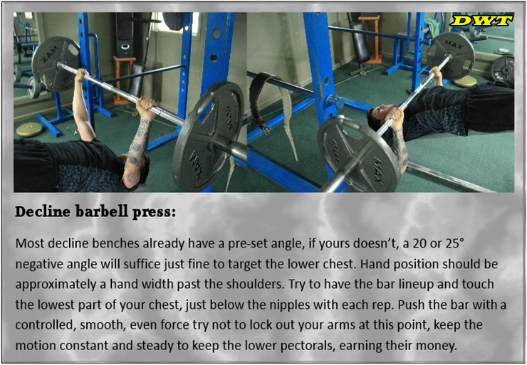 Decline dumbbell press