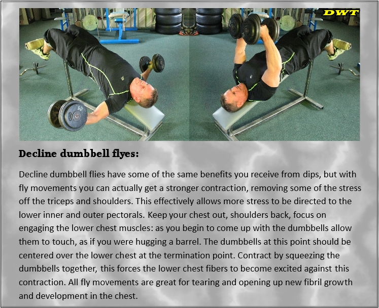 Decline dumbbell flyes