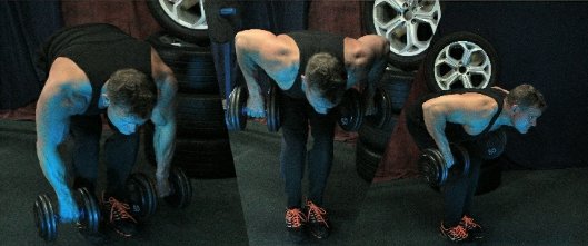 Bent over Dumbbell Rows