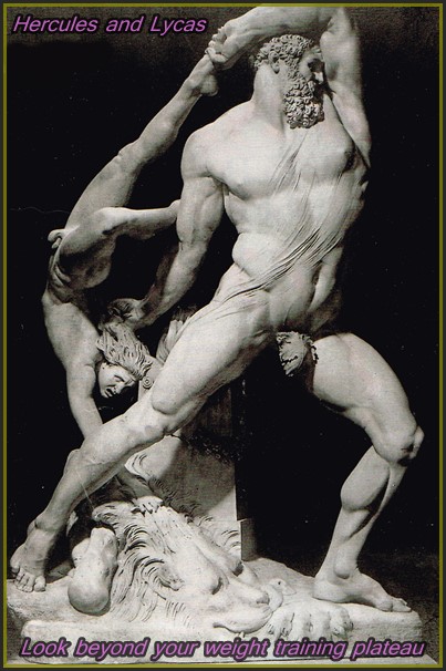 Hercules immortalized