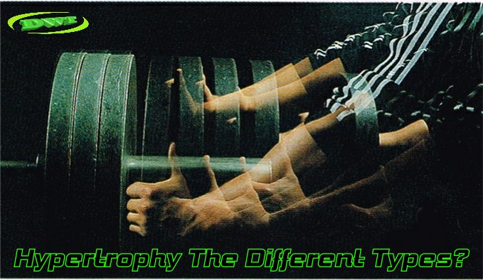 Hypertrophy different types