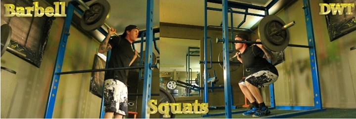 Barbell squat