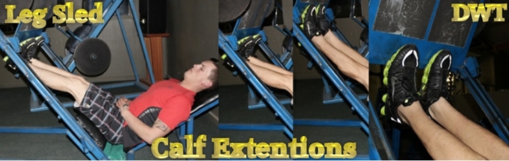 Intermediate calf raises