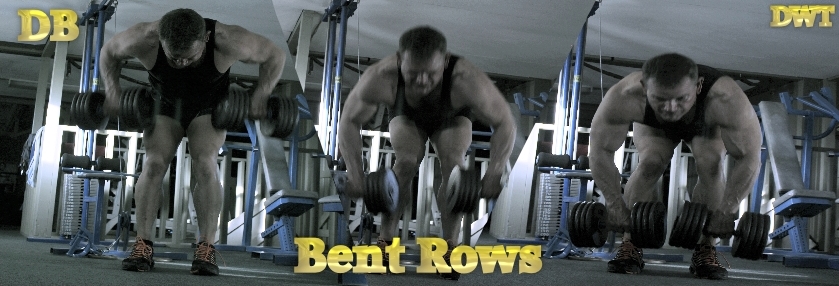 Intermediate bent over dumbbell row