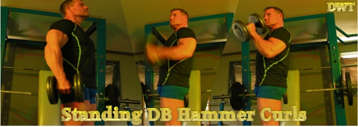 Intermediate hammer curls