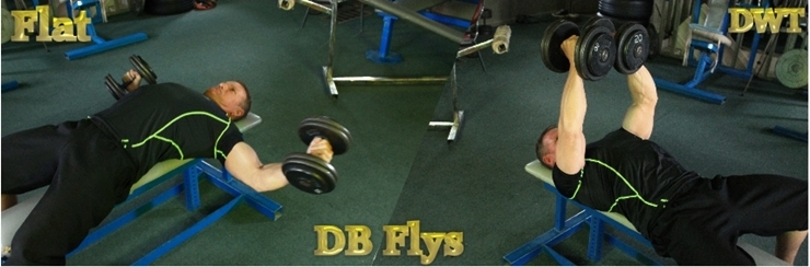 Flat bench dumbbell flyes