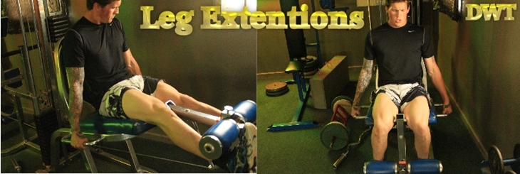 Intermediate leg extensions