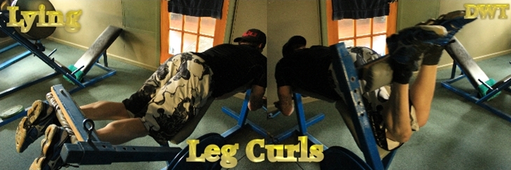 Intermediate leg curls