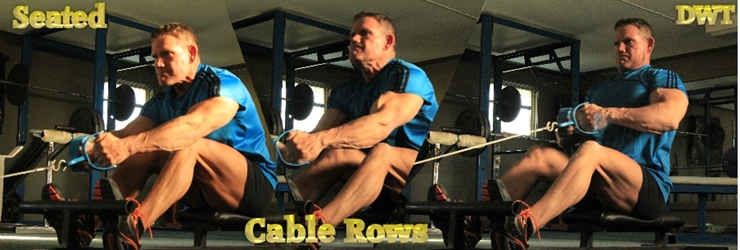 Intermediate seated cable rows