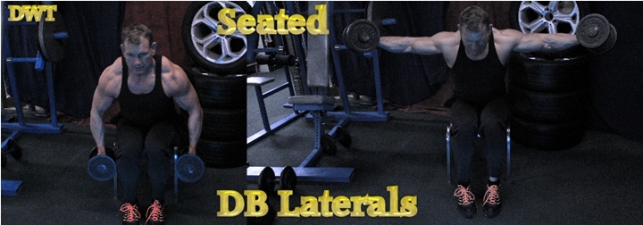 Intermediate seated dumbbell laterals