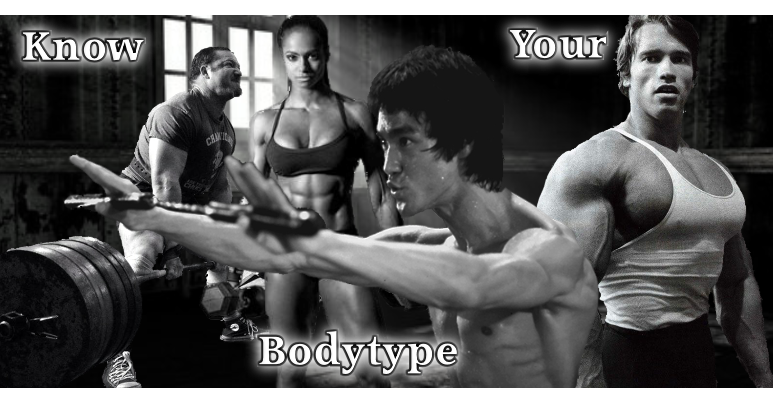 Your Body Type