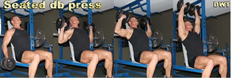 Seated DB shoulder press