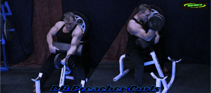 Dumbbell Preacher Curl