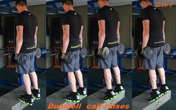 Dumbbell calf raises