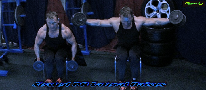 Dumbbell Lateral Raises