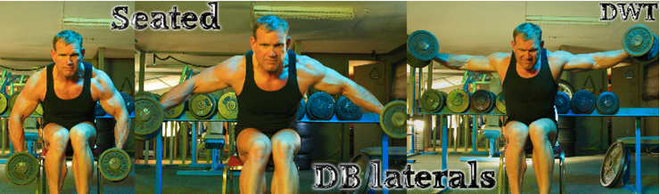 Seated lateral dumbbell raises