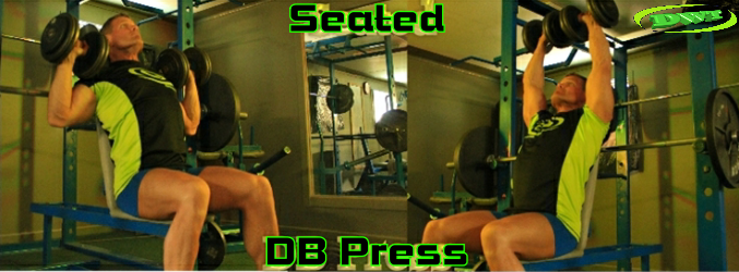 Seated dumbbell press