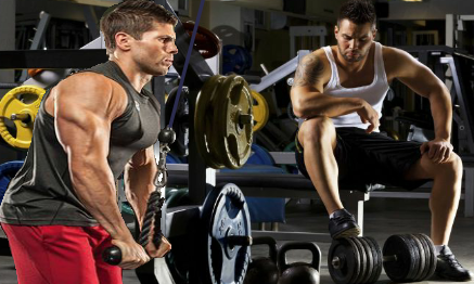 Bodybuilding and Weight Training