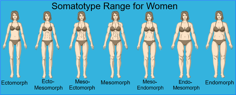 Female Somatotypes