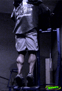 Standing Calf Raises