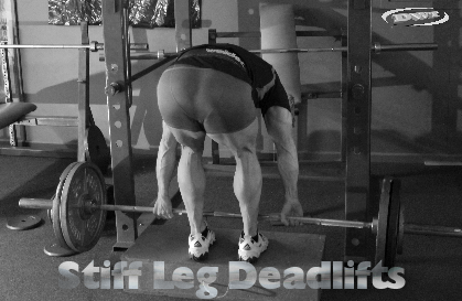 Stiff leg deadlifts