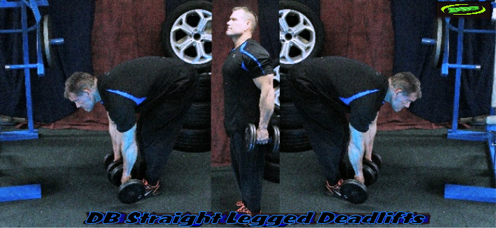 Dumbbell Straight Legged Deadlifts