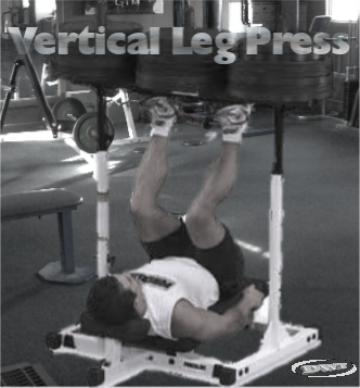 The vertical leg press