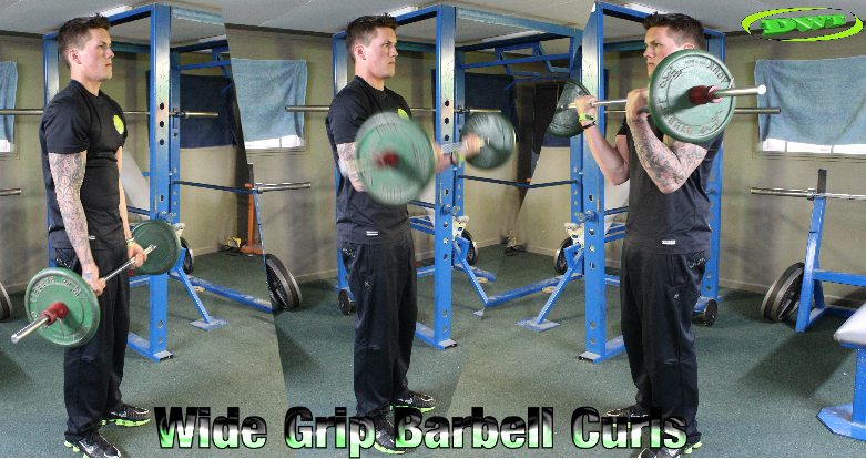 Wide grip barbell curls