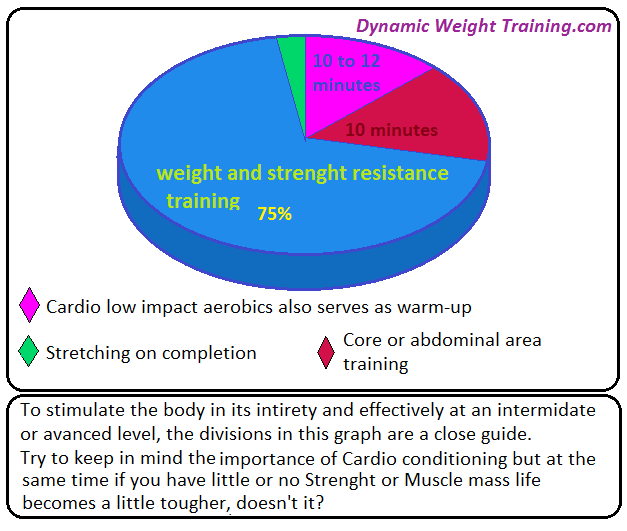 Pie chart weight training vs cardio