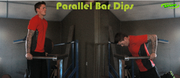 Build stamina with Bar dips