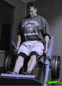 Incline Hack, Calf Raises,