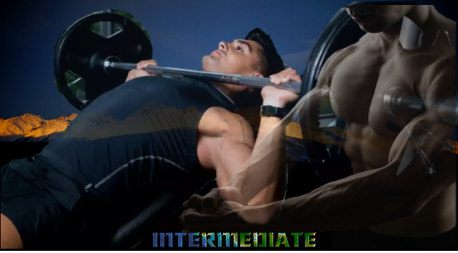 Intermediate weight training