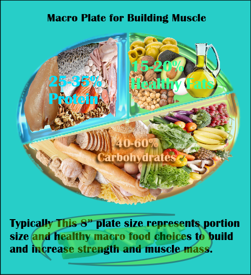 Building Muscle Macro plate