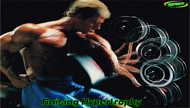Weight training hypertrophy